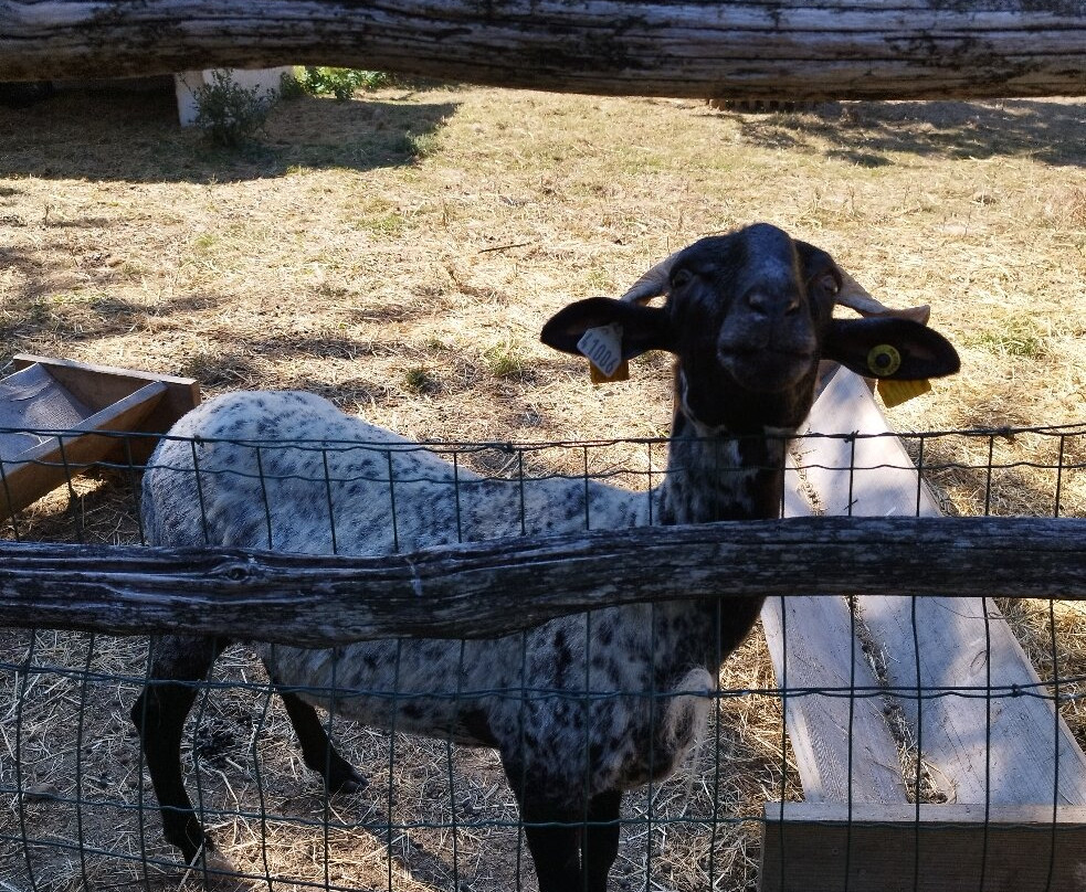 Mouton Village-Vasles必去景点