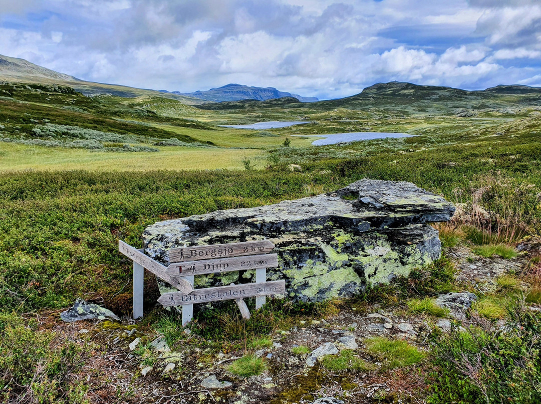 Rødungstøl Høyfjellshotell主图