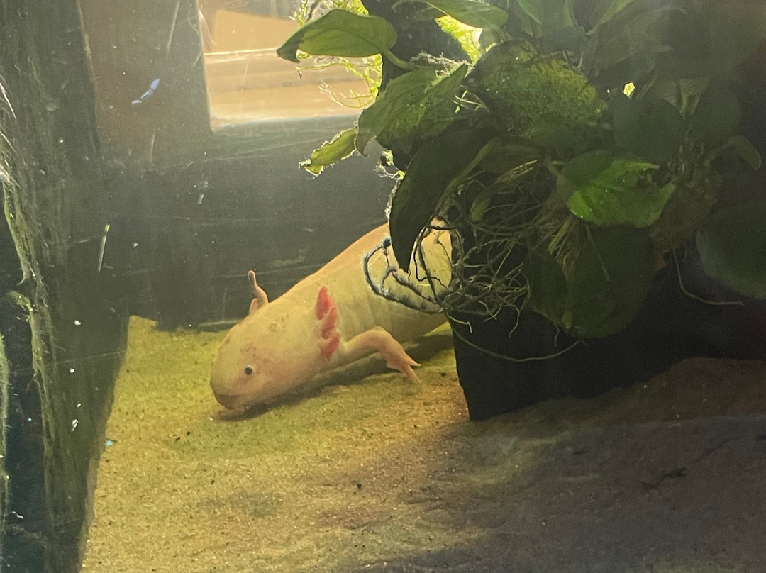 Oceanarium-伯恩茅斯必去景点