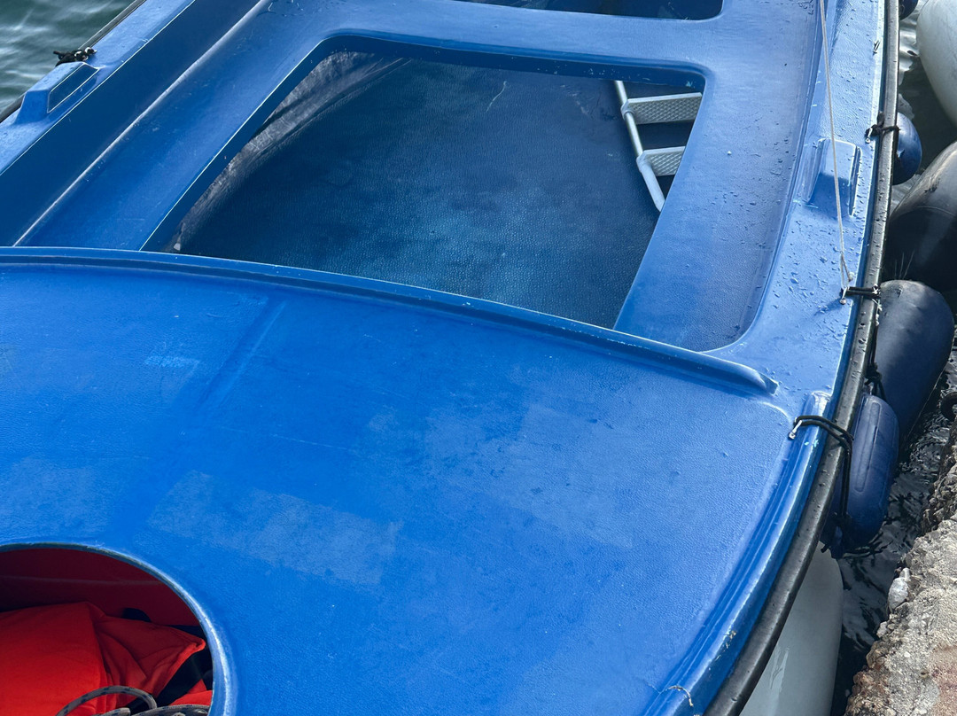 Mala Mara-Mokosica必去景点