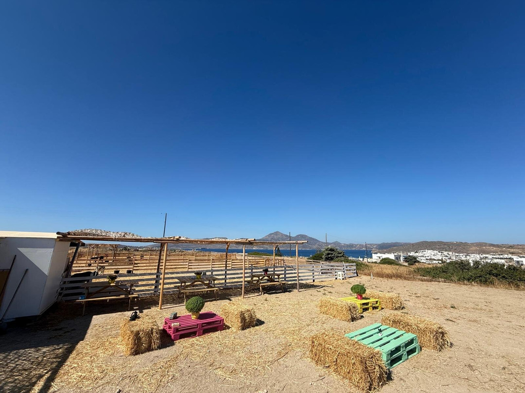 Donkey Farm Milos