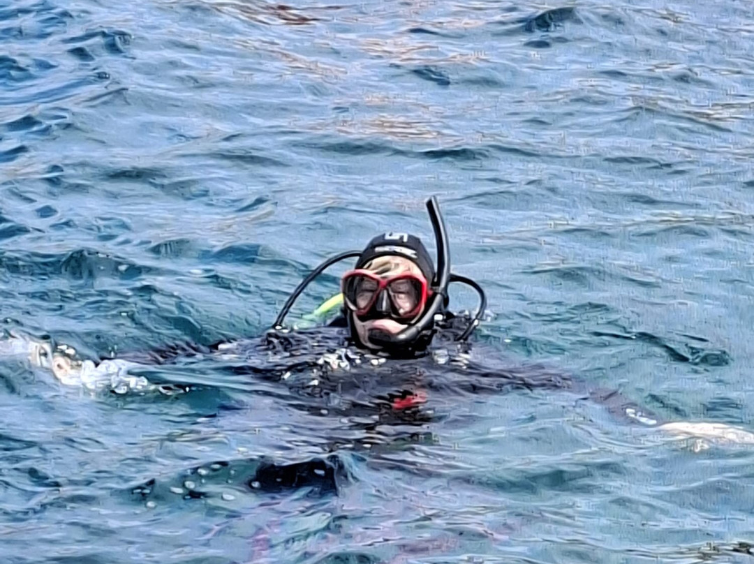 Bluassoluto diving-Trinita d'Agultu e Vignola必去景点