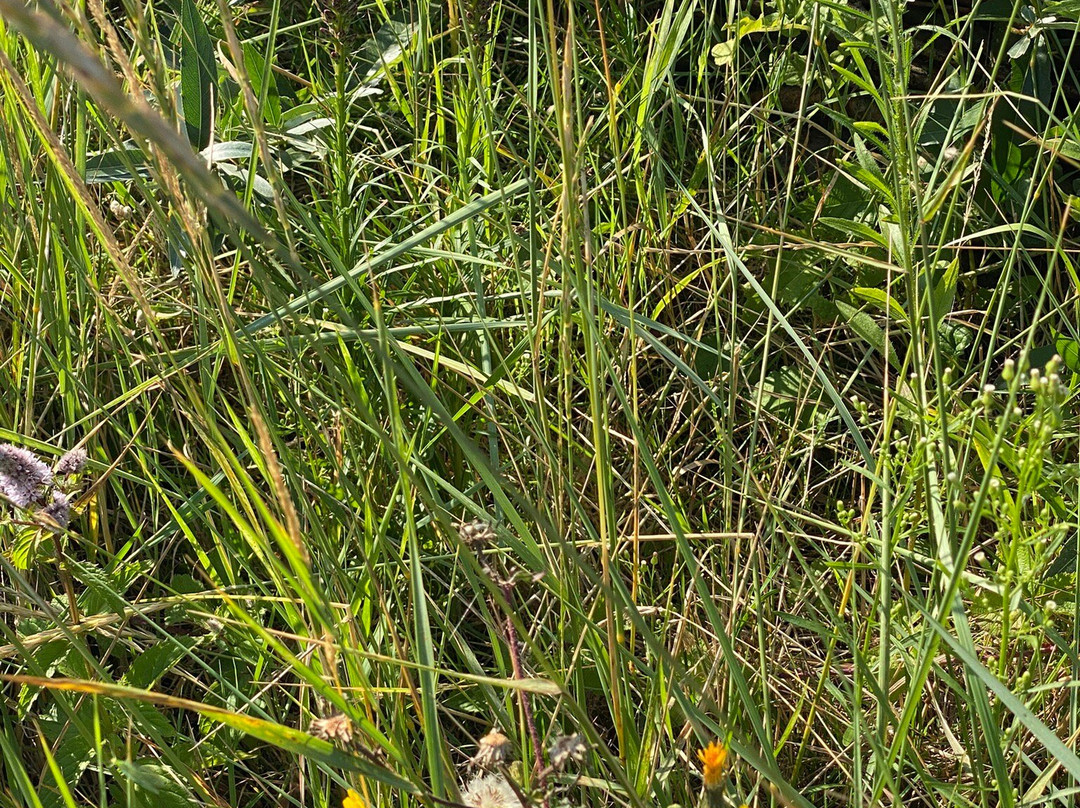 Basecamp IJmuiden主图