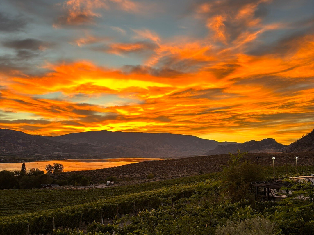 Nk'Mip Cellars-奥索尤斯必去景点