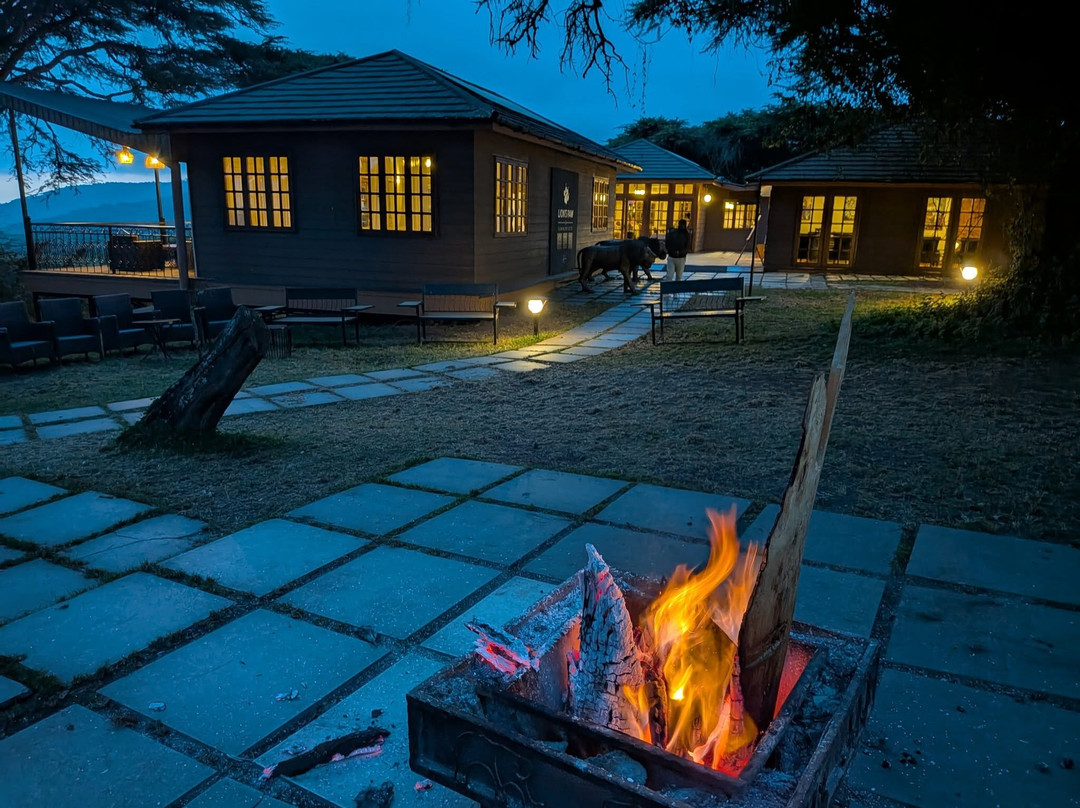 Carnivores Safaris Limited-阿鲁沙必去景点