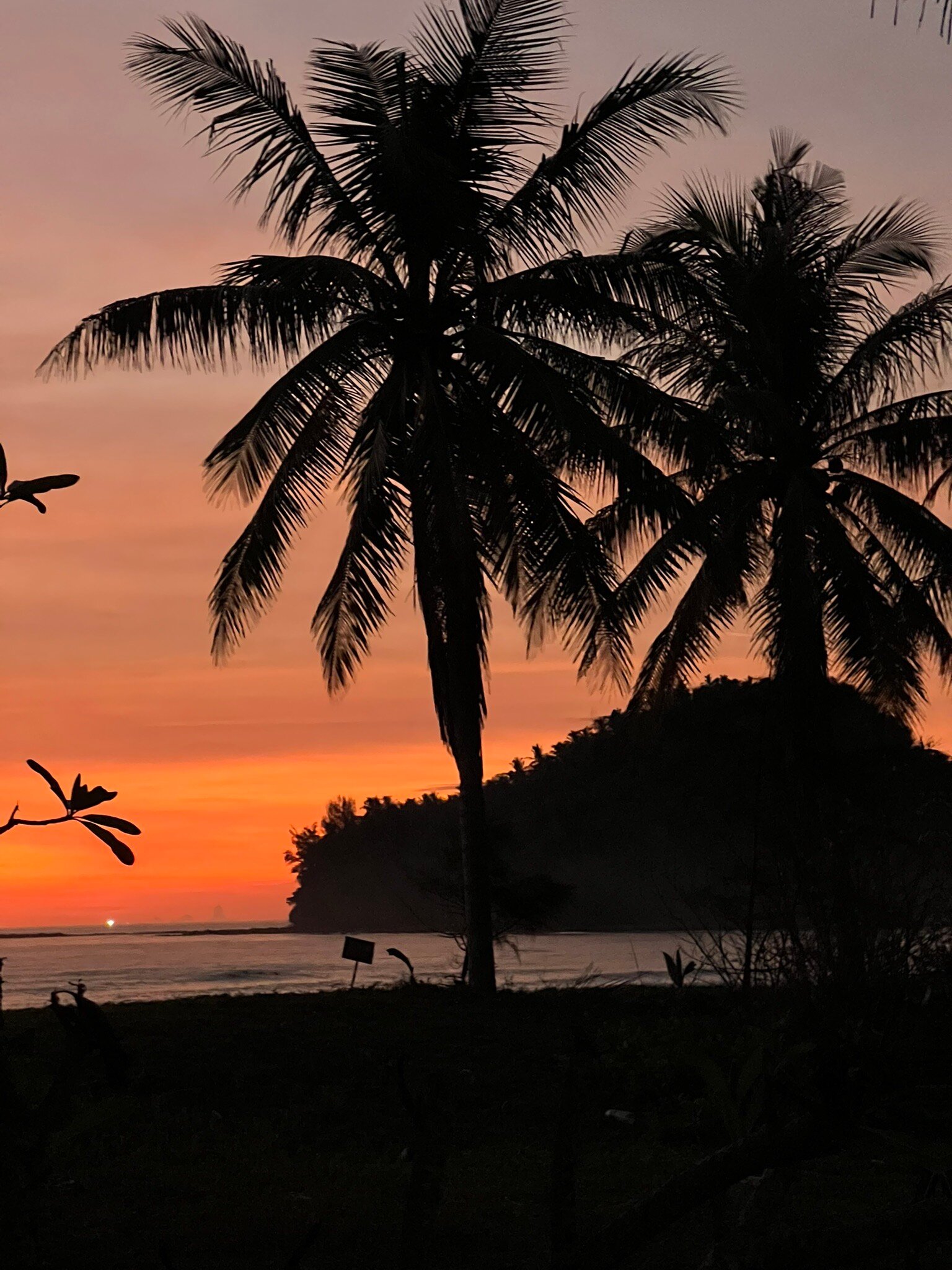Kudat Riviera-官方