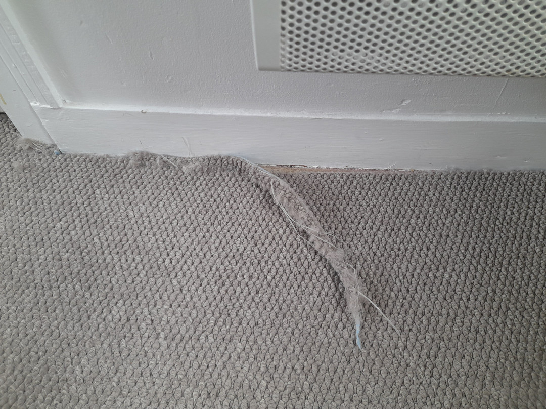 斯特恩斯斯特恩酒店主图