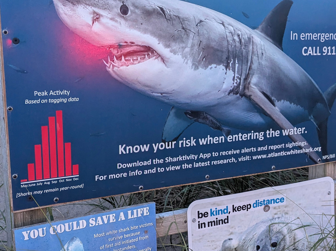 Nauset Beach-奥尔良必去景点