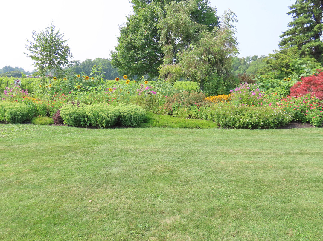 Knapp Winery-Romulus必去景点