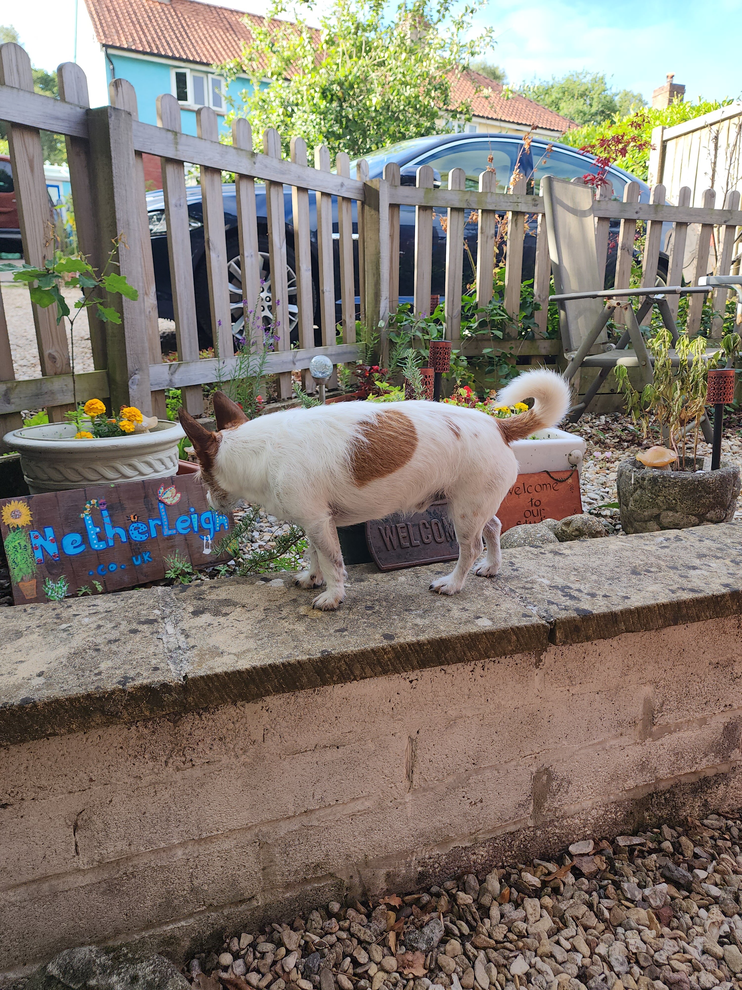 Netherleigh Bed and Breakfast-官方