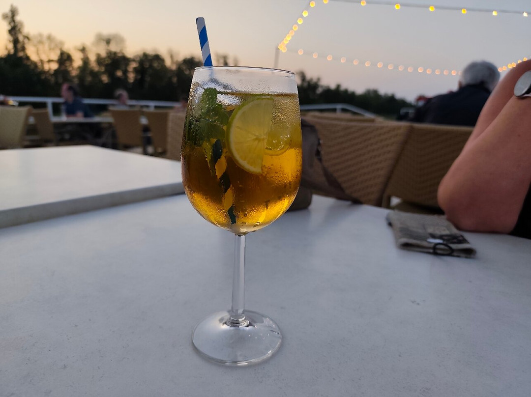 Breisacher Fahrgast Schiffahrt-Breisach am Rhein必去景点