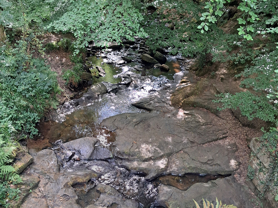 Falling Foss Tea Garden And Waterfall-惠特比必去景点