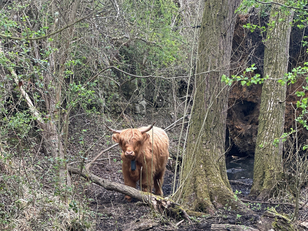 Twywell Hills and Dales-凯特林必去景点