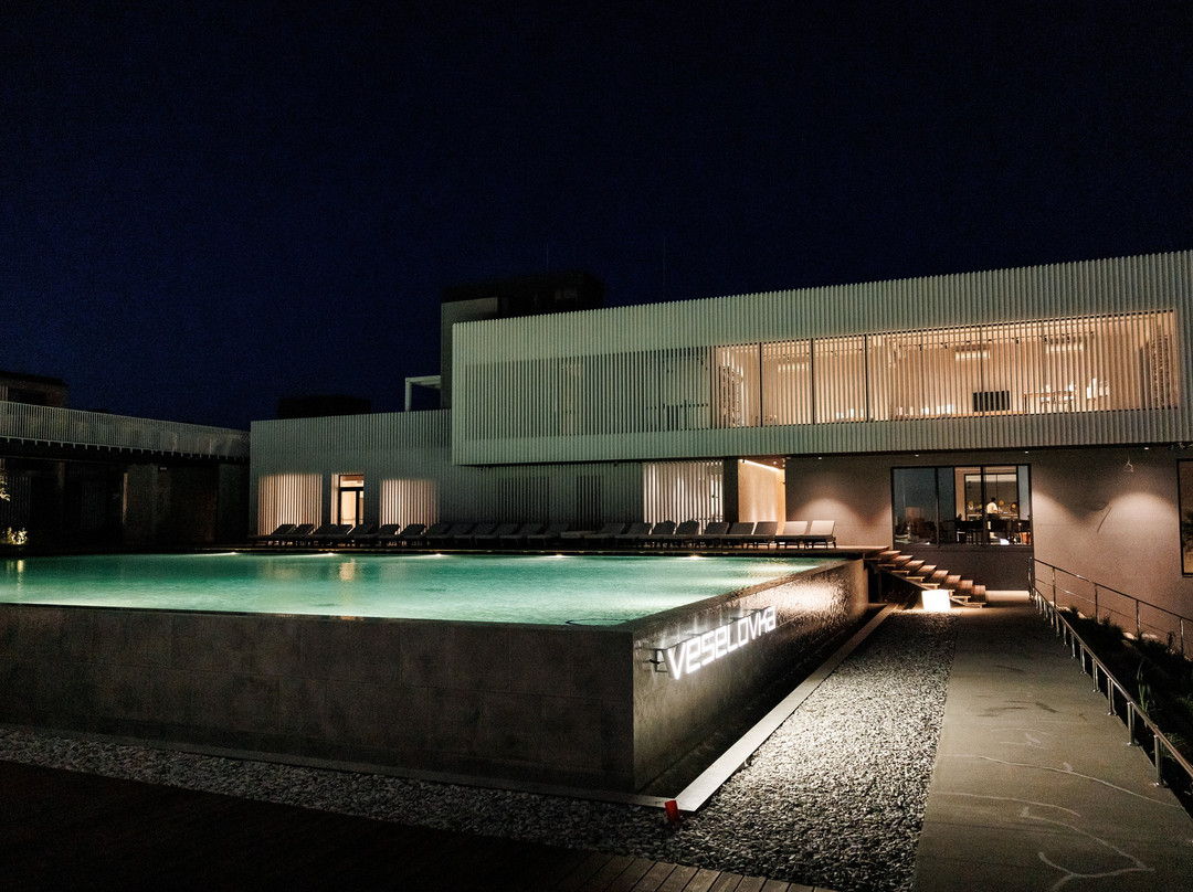 Veselovka Experience