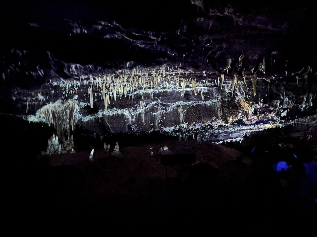 Grottes de Lacave-Lacave必去景点