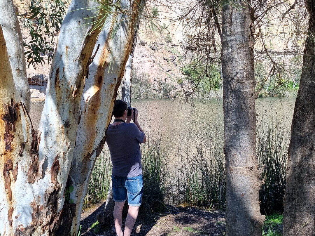 Ellendale Pool-Greenough必去景点