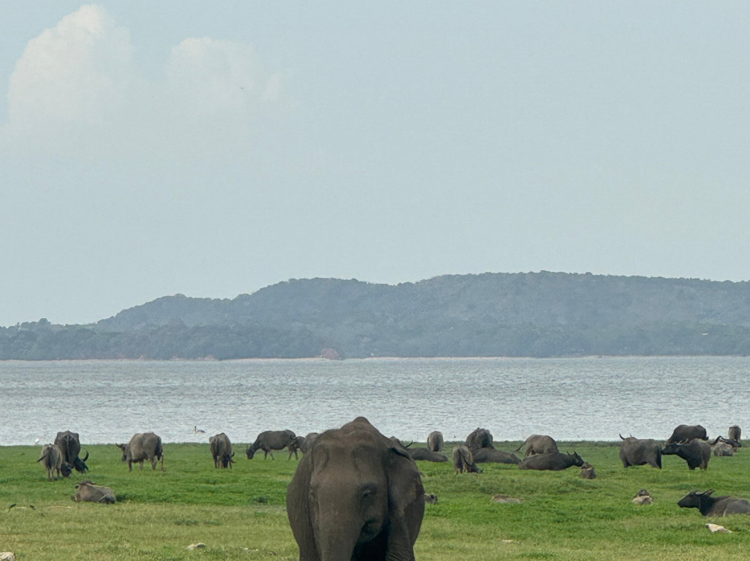One Lanka Tours-尼甘布必去景点