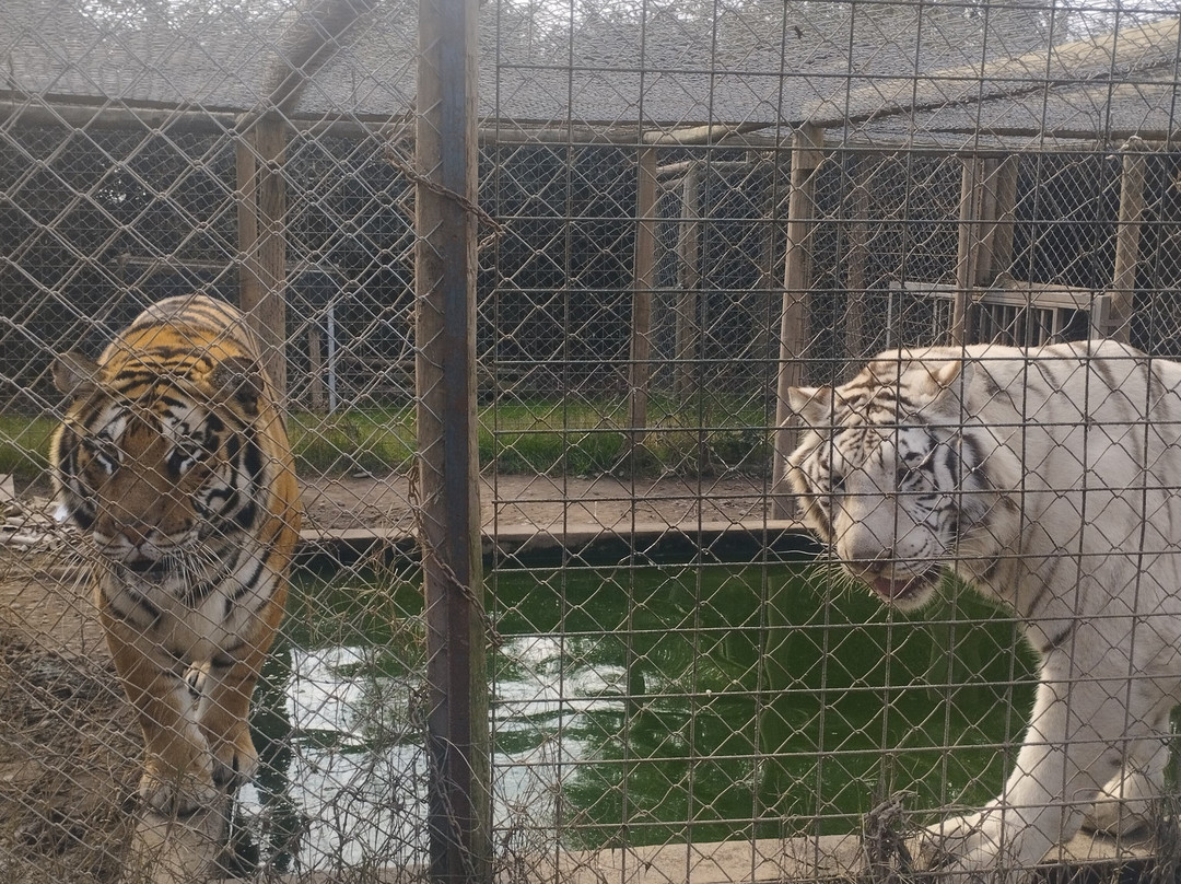Huellitas por un sueño-Isla de Maipo必去景点