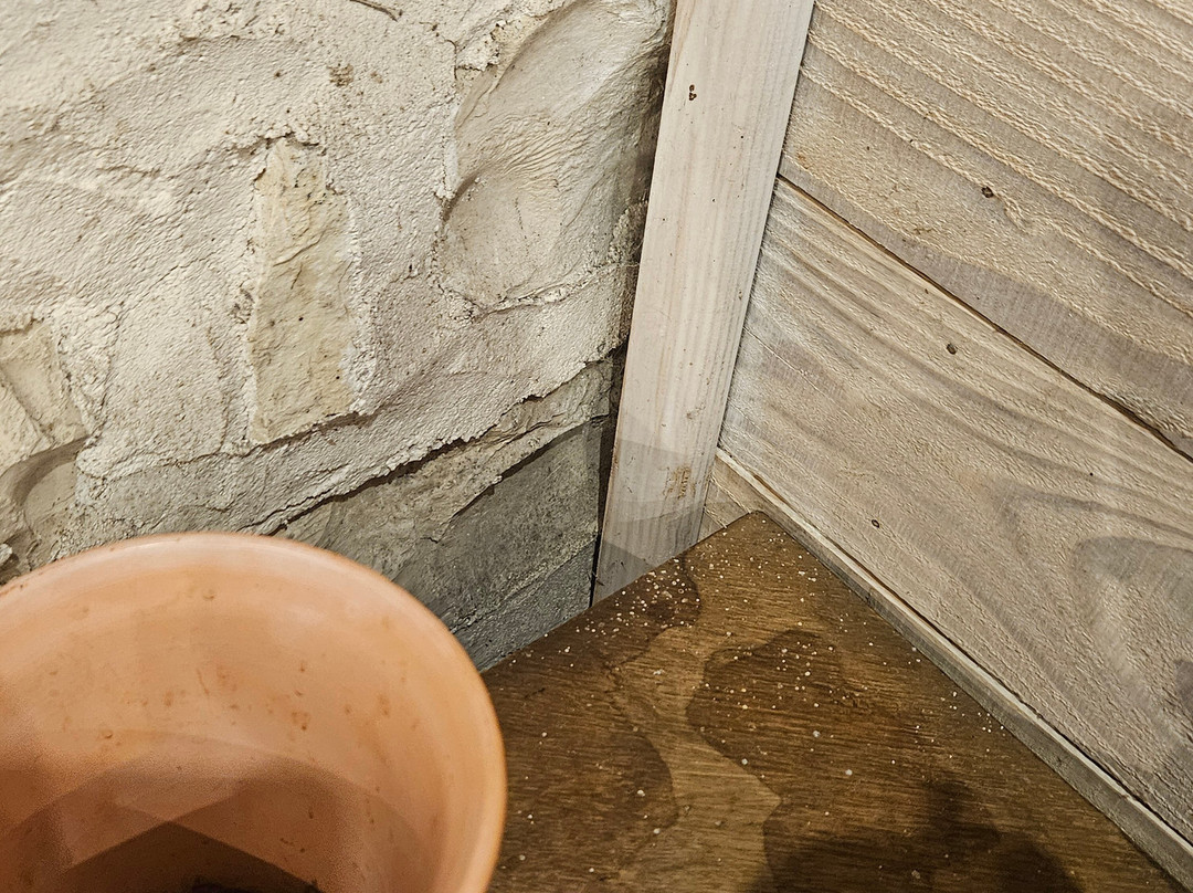 La Faisanderie 16主图