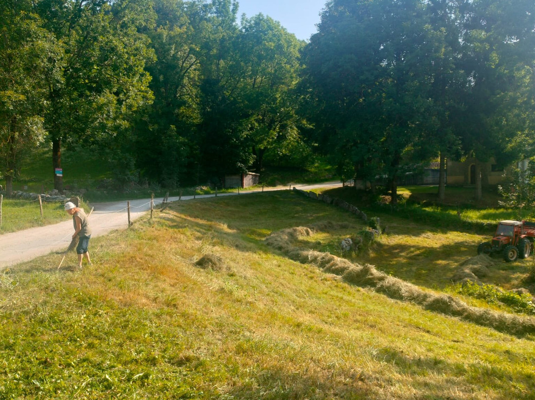 Casa natale del mago Foeto-Velo Veronese必去景点