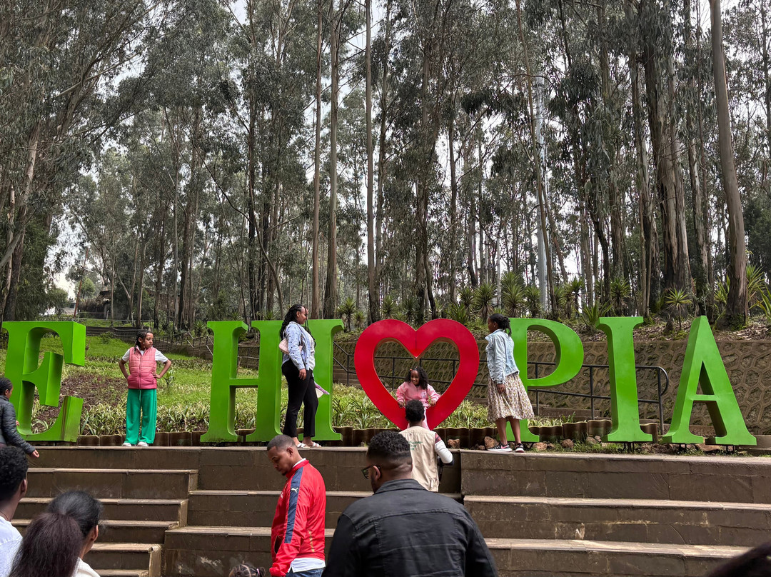 Login Ethiopia Tours-亚的斯亚贝巴必去景点