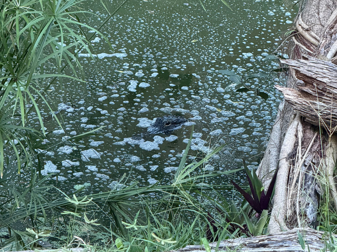 Apoxee Wilderness Trail-西棕榈滩必去景点