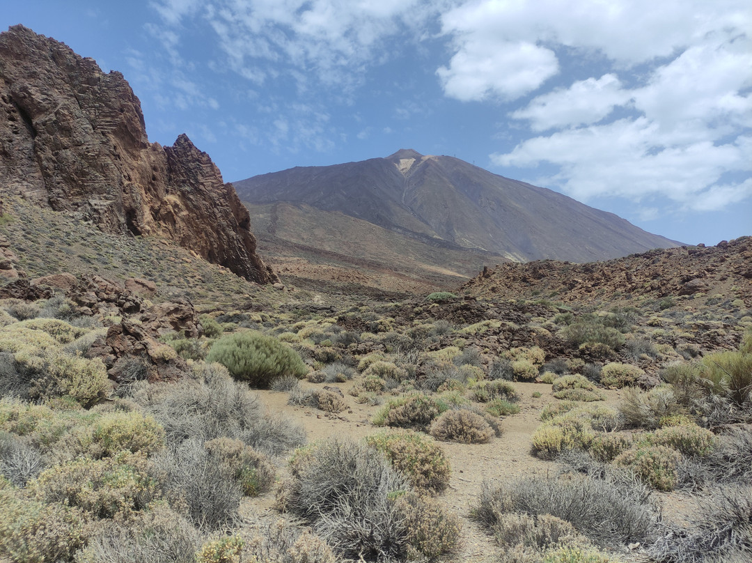 Touring Canarias-特纳里夫必去景点