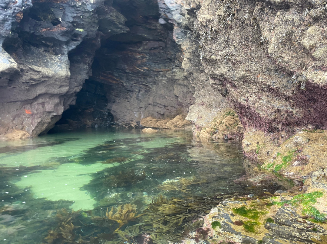 Vertical Blue Adventures-Porthleven必去景点