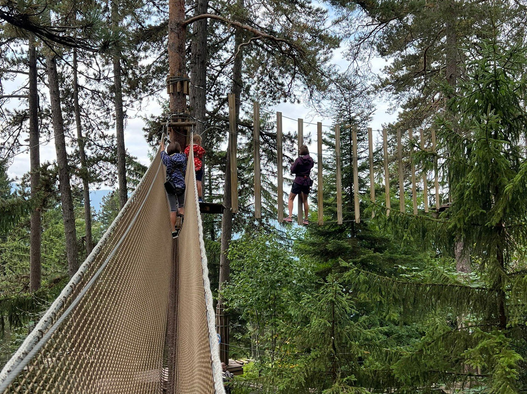 ACRO'Aventures Talloires-塔卢瓦尔必去景点