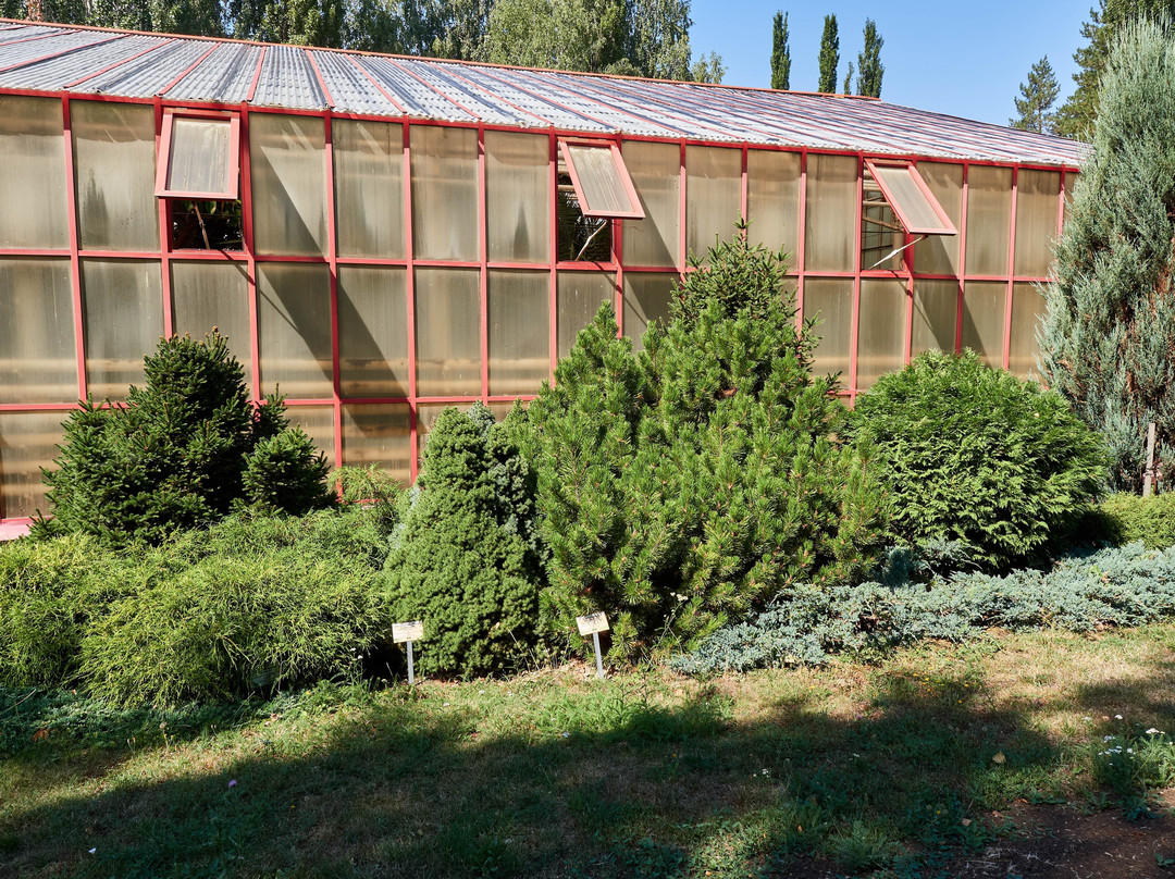 Ufa Botanical Garden-乌法必去景点