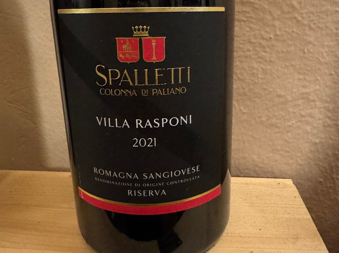 Castello di Ribano-鲁比科内河畔萨维尼亚诺必去景点