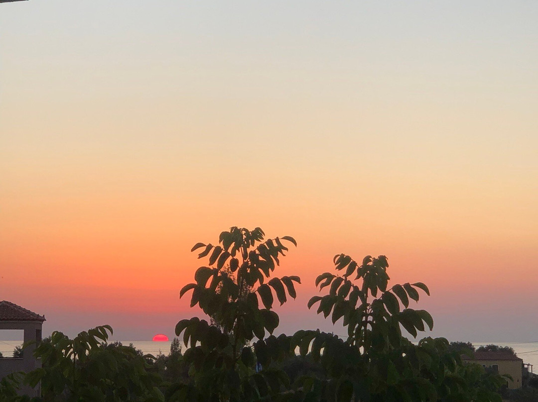 Christina's Garden主图