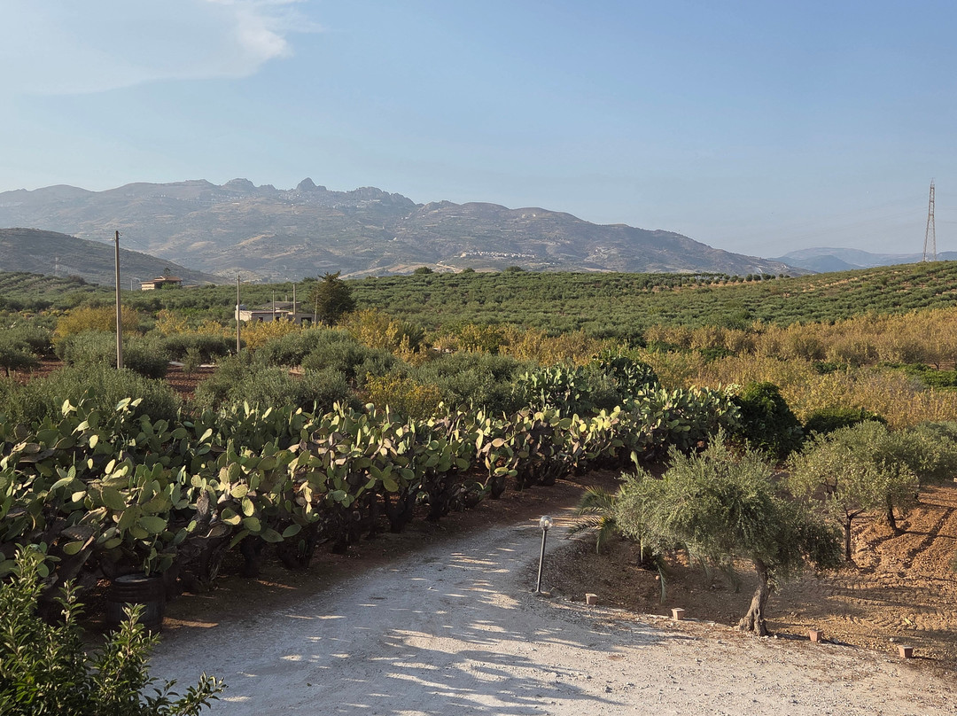 Agriturismo Le Zarafe主图