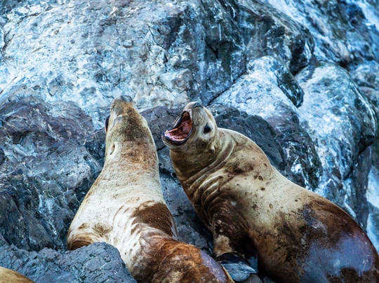 Sound Water Tours-苏厄德必去景点