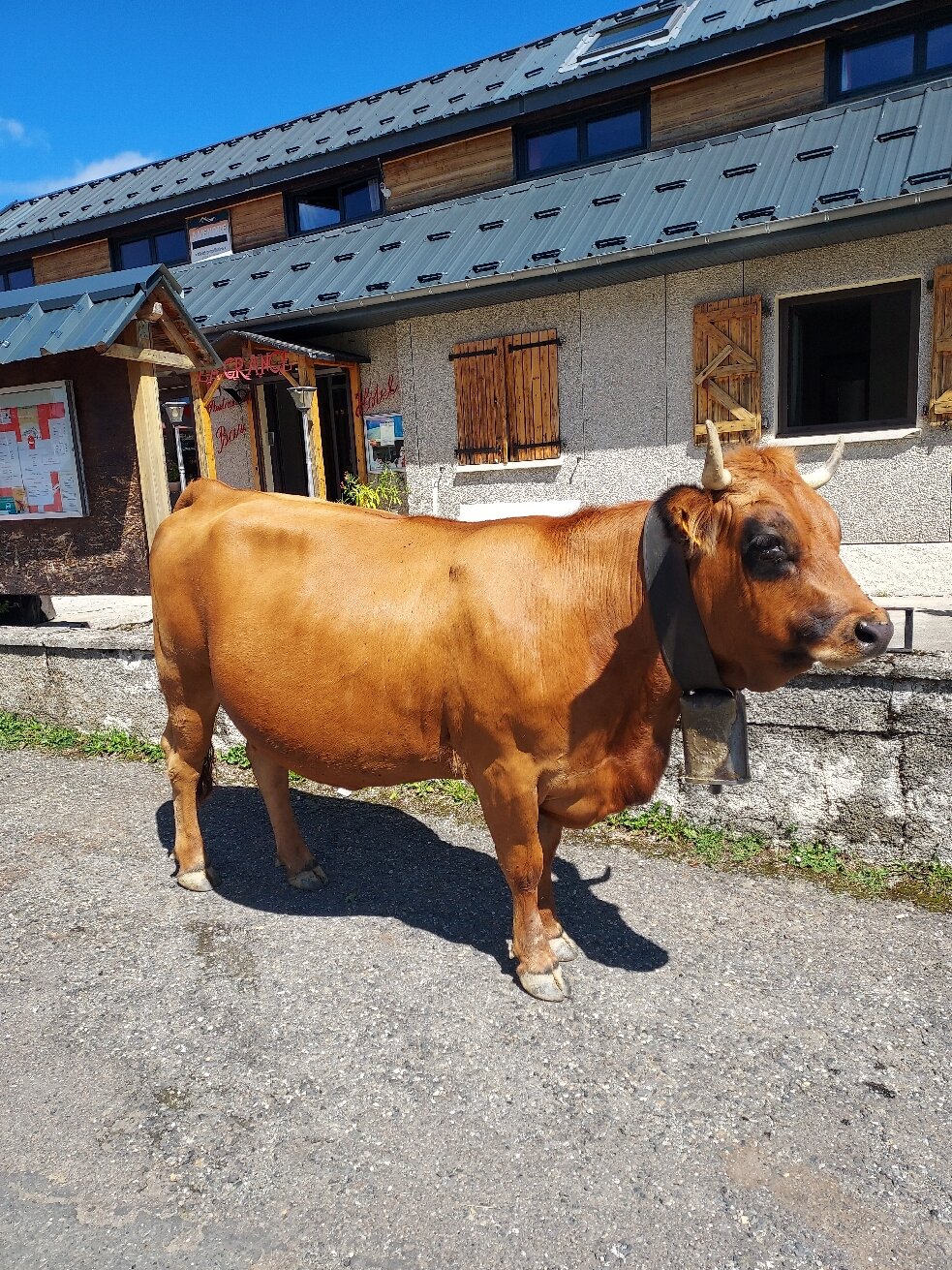 La Grange Hotel-官方