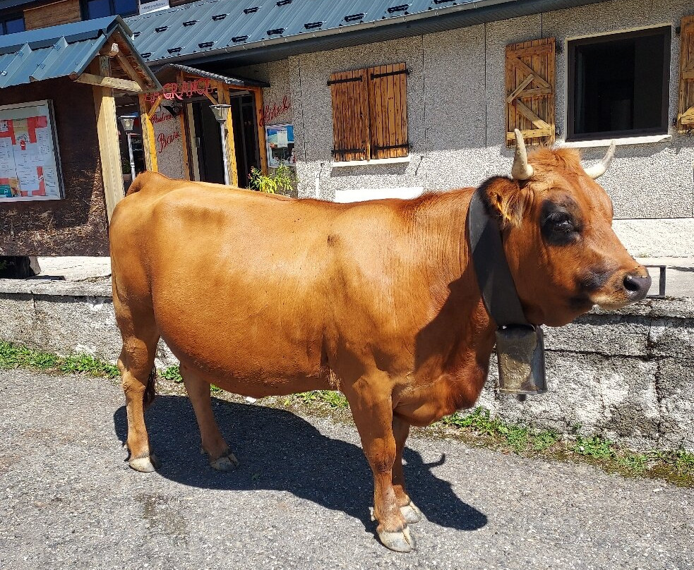 La Grange Hotel主图