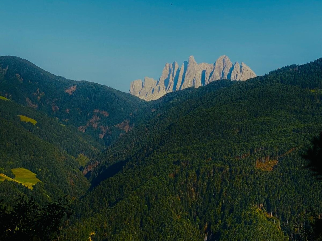 Restaurant Gasthof Wöhrmaurer主图