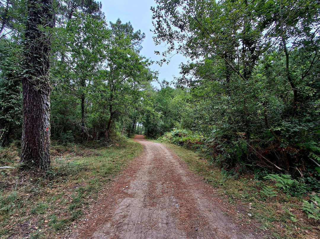 Résidence Domaine de l'Agréou主图