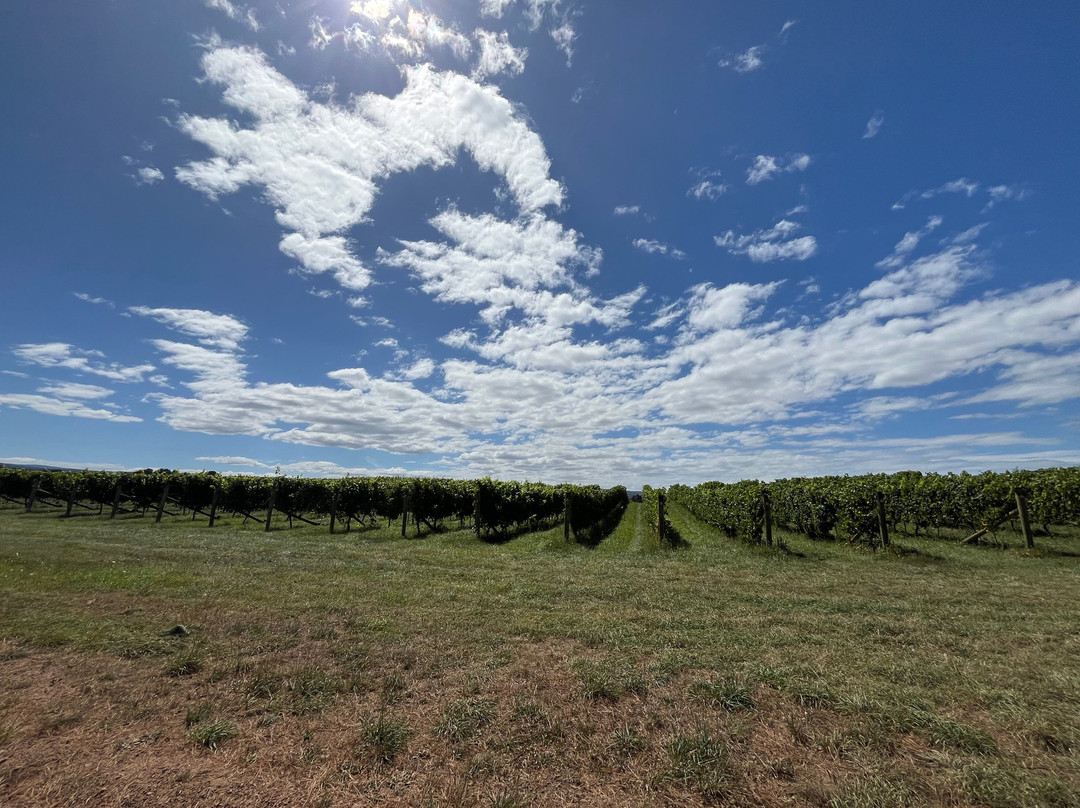 Spring Vale Wines-Cranbrook必去景点