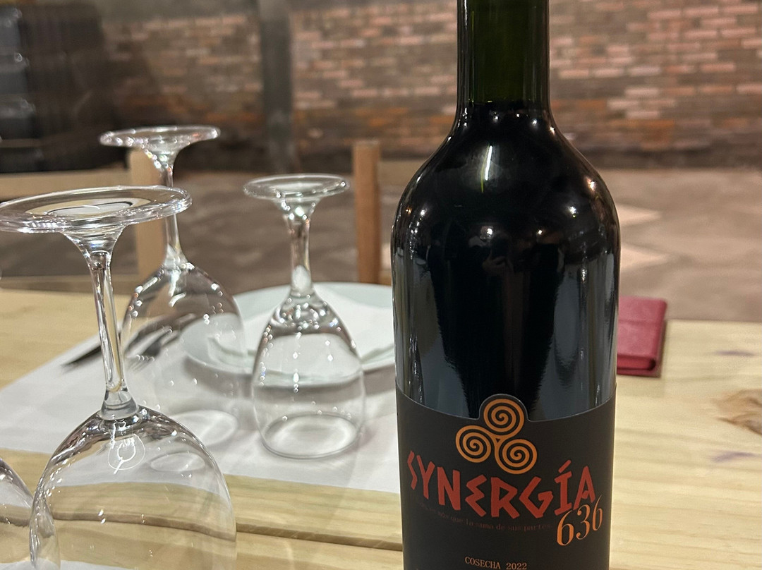 Bodega 636-Rivera必去景点