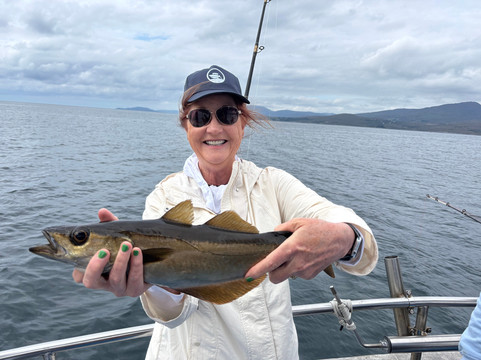 Bantry Bay Charters-Glengarriff必去景点