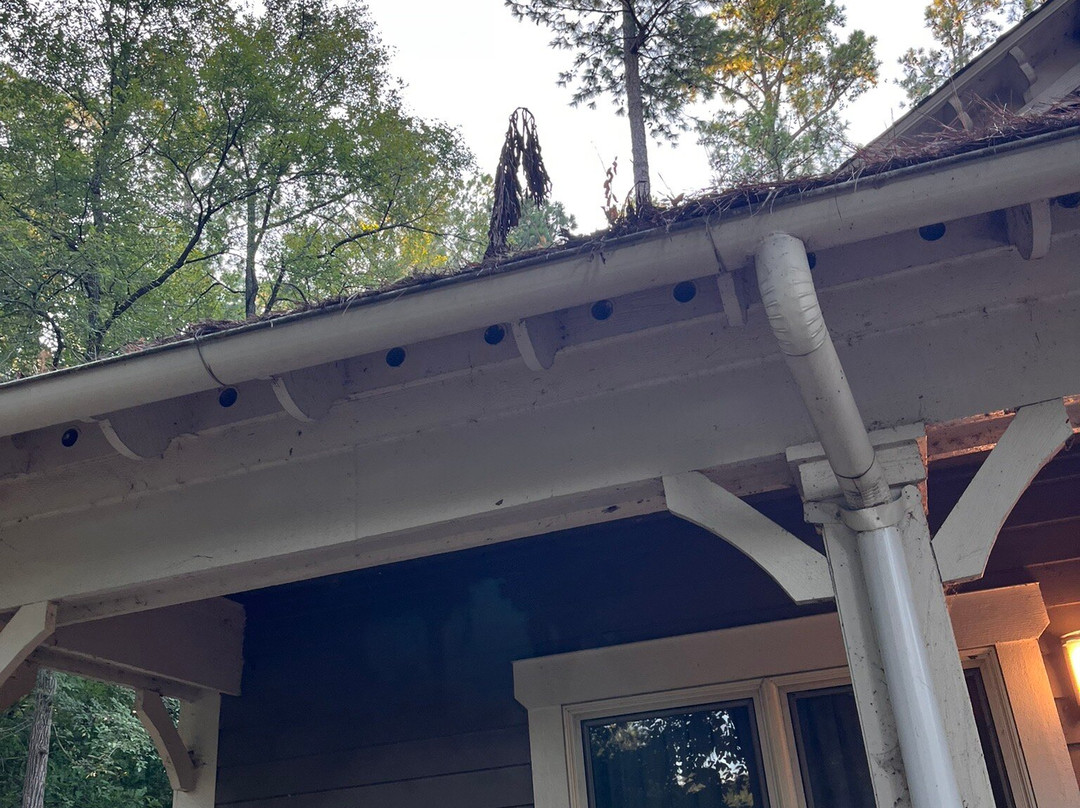 Kentucky Dam Village State Resort Park - Lodging主图