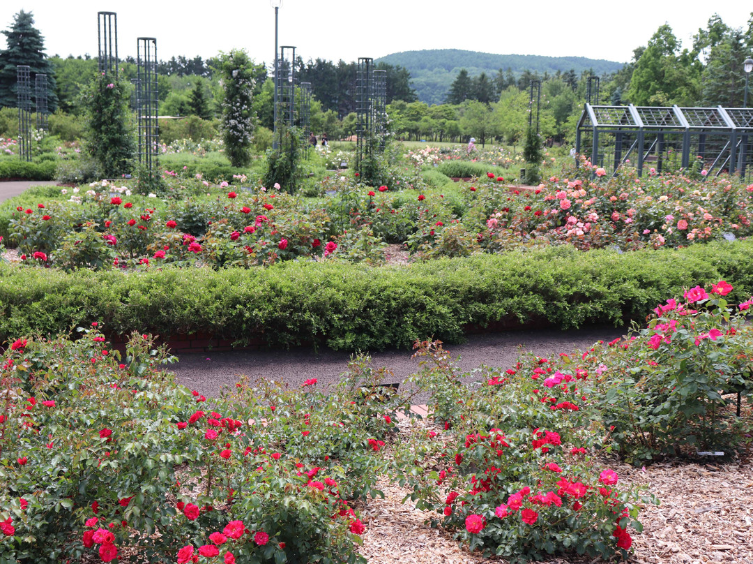 Iwamizawa Park-岩见泽市必去景点
