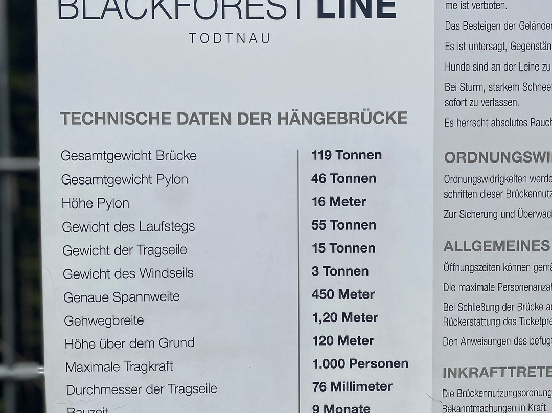Blackforestline Hangebrucke-托特瑙必去景点