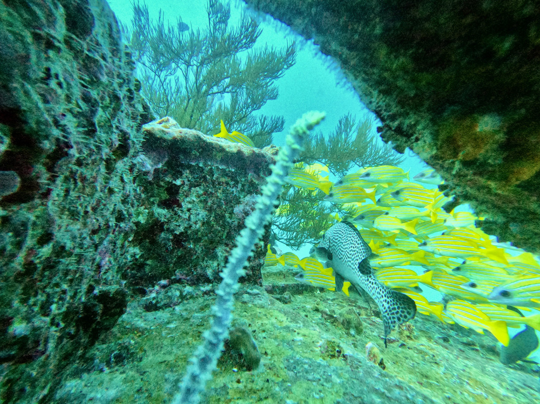 Maritim Diving Centre-巴拉克拉瓦必去景点