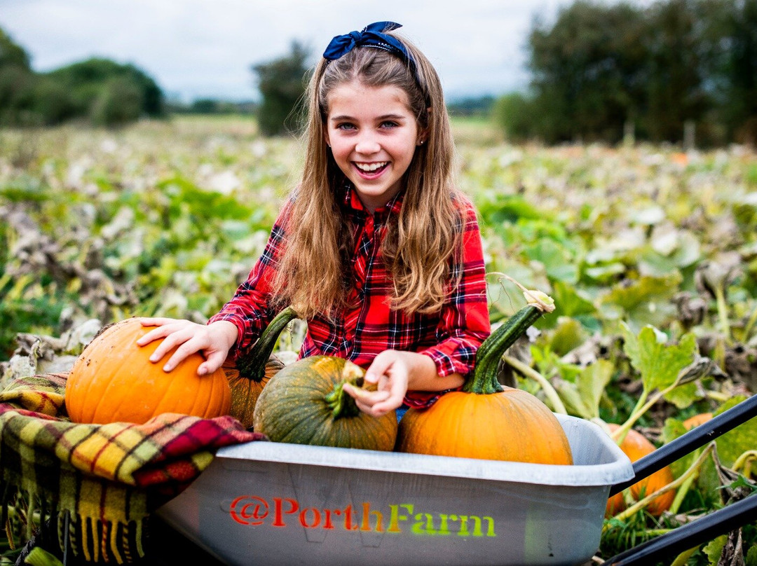 Porth Farm-Caersws必去景点