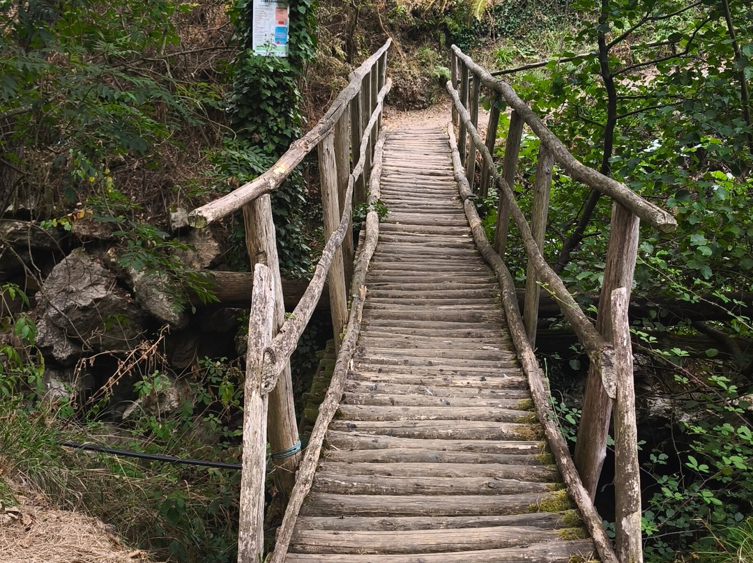 Bici Senda del oso-Teverga Municipality必去景点