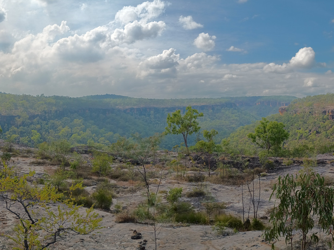 Jarramali Rock Art Tours-凯恩斯必去景点
