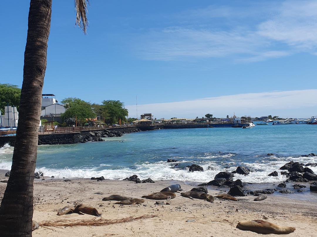 Playa de Oro-Puerto Baquerizo Moreno必去景点