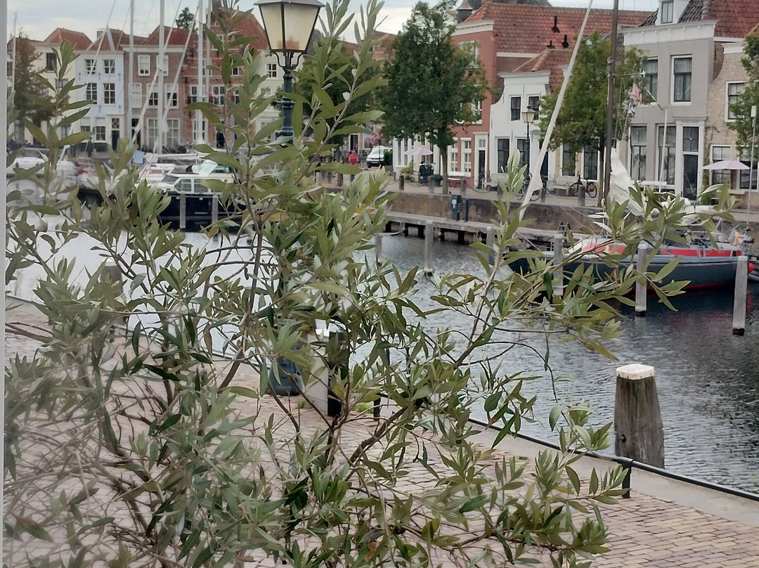 B&B De Grote Kade主图